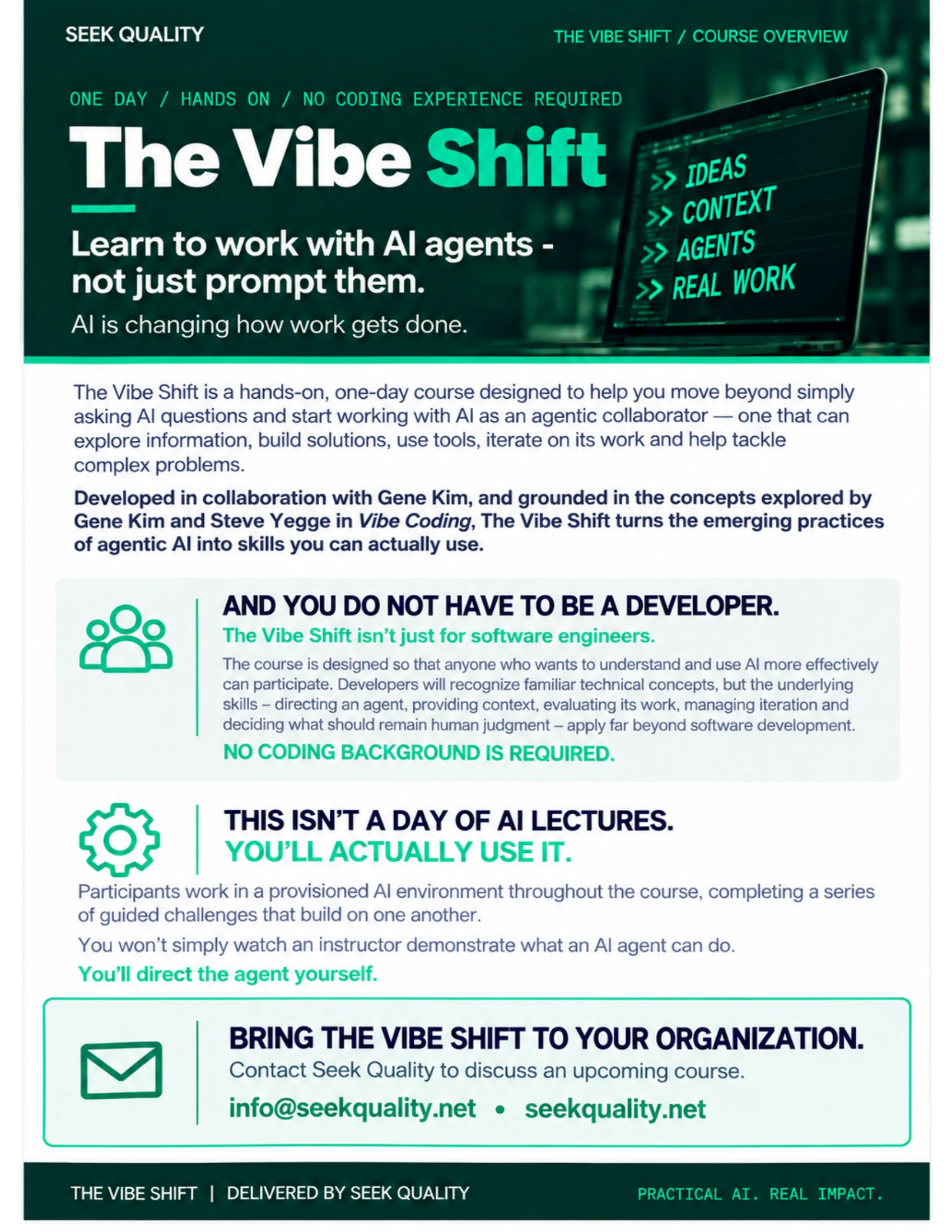 The Vibe Shift course overview, page 1